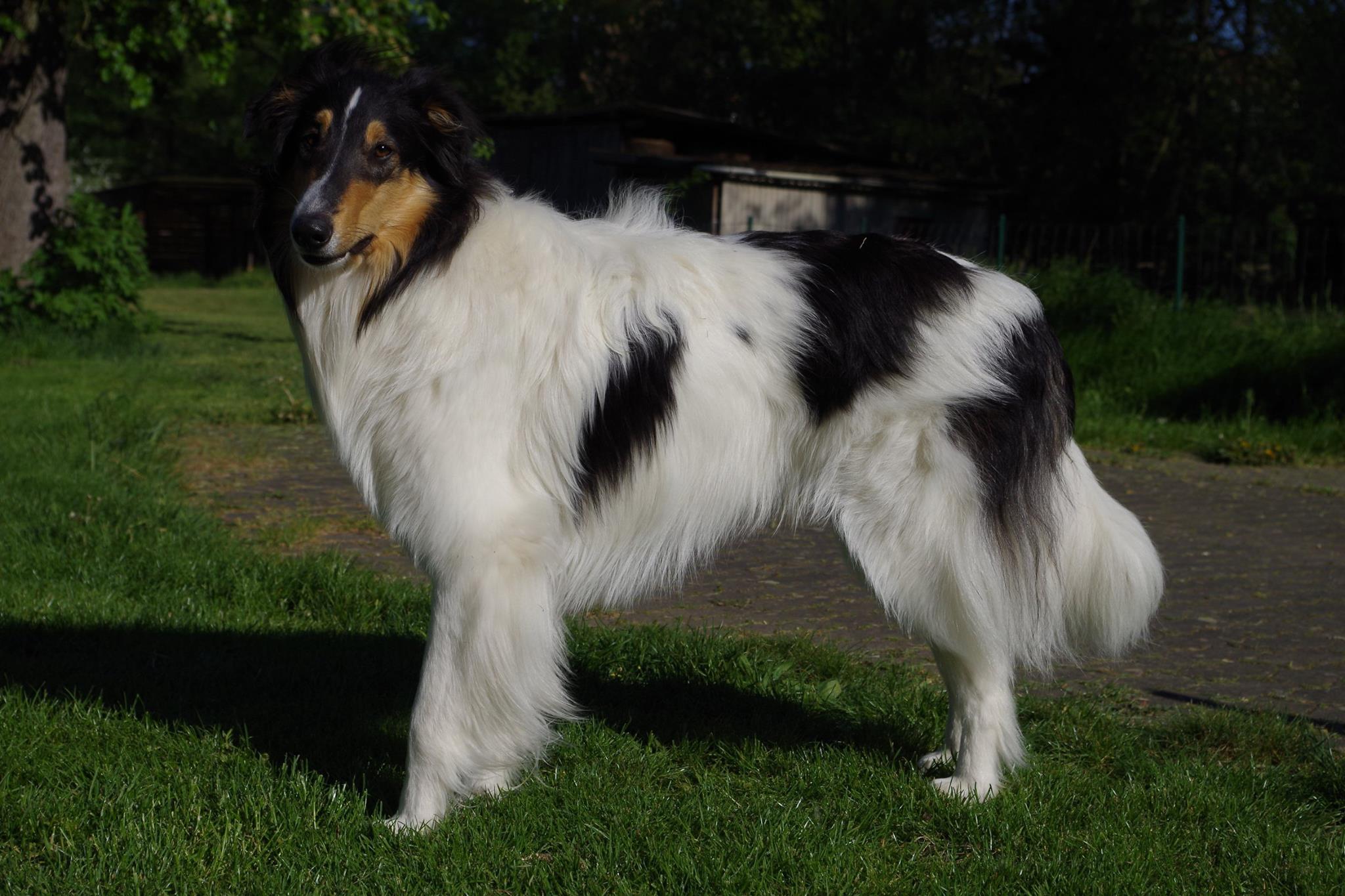 13198660_1127998063889668_1080172841613239613_o