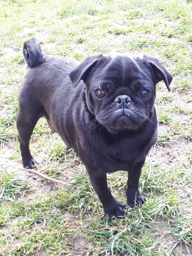 20180322_113243(0)2 20180322_113243(0)2