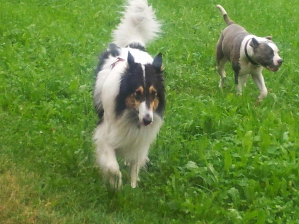 403568_4162319062524_801106620_n